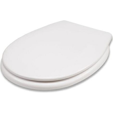 Abnehmbarer WC-Sitz Wave Soft-Close DP Weiß (1/5)