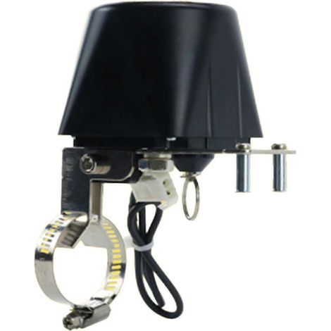 Vanne de manipulation automatique électrique pour conduite de gaz DN15 DN20 DN25 avec alarme gaz/eau et coupure d'urgence 12 V (1/5)