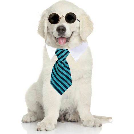 1 cravate pour animal de compagnie, rayée, réglable avec velcro, coton et polyester, pour chien et chat (1/5)
