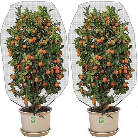 BUNTHAUS PA Lot de deux filets anti-insectes et anti-oiseaux avec cordon de serrage - 150 x 100 cm - Protège les plantes de jardin, les fruits, les agrumes et les fleurs des insectes et des oiseaux. (1/4)