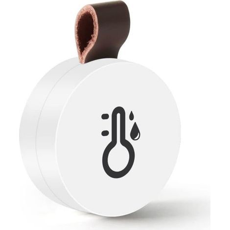 Thermomètre hygromètre Bluetooth, mini thermo-hygromètre d'intérieur sans fil avec fonction d'exportation de données, compatible avec iOS et Android pour le vin, le salon, la chambre de bébé, la maiso (1/4)