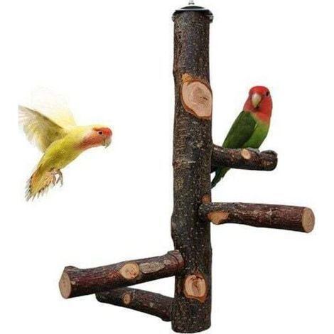 Joody Papageienkäfig-Sitzstange, Wellensittichspielzeug, Sitzstange aus Naturholz für 3 oder 4 kleine oder mittelgroße Papageien, Kakadus, Sittiche, Wellensittiche, Unzertrennliche, Finken (1/5)
