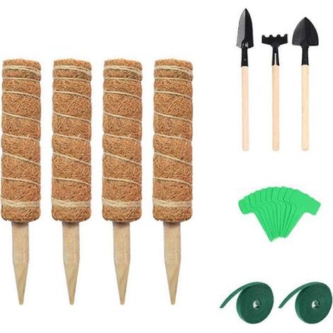 Tige de soutien pour plantes en pot 30 cm, support de tuteur pour plantes grimpantes, outil de jardin intérieur extérieur, tige de croissance pour fleurs, kit de culture pour jardin et balcon. (1/3)