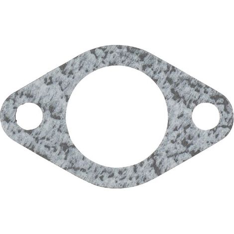 Joint BRIGGS ET STRATTON 800040