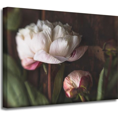 Impression sur toile Botanique Fleurs Pivoines 40x30 cm Bouquet de fleurs Flore