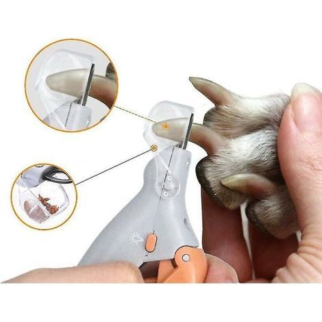 Professionelle Hundekrallenschere – LED – Edelstahl – Spritzwassergeschützt (1/5)