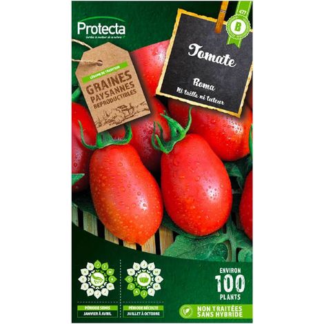 Tomate roma