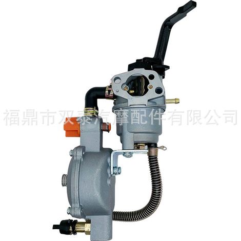 168F Dual-Fuel-Einheit LPG/NG Vergaser GX160 GX200 168 170F Wasserpumpe Generator Gas (1/4)