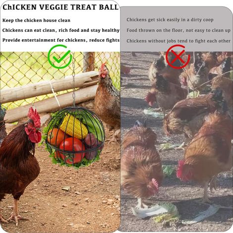 Mangeoire suspendue pour poules - Boule à friandises en fer de 18 cm pour poules et légumes - Support robuste avec chaîne de suspension de 40 cm - Noir (1/2)