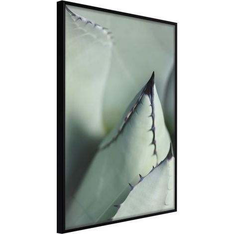 Affiche Murale Encadrée "Young Leaf of Agave" 21 x 30 cm Noir