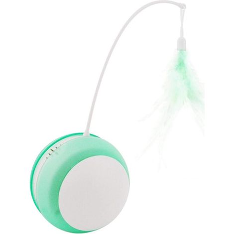 Jouet Gobelet Chat Jouet électrique pour Chat avec Boule Anti-Chute LED Plume, Canne à pêche à Roulement Automatique pour Chat Drôle Fournitures pour Animaux Vert (1/4)