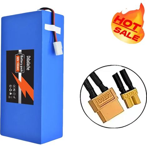 Batterie, capacité 100Ah, BMS intégré, XT30-XT60 (1/2)