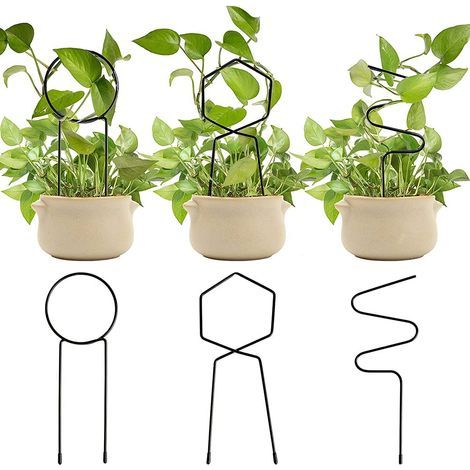 Treillis de Jardin en Métal, Support en Fil de Fer Durable pour Plantes Grimpantes, Présentoir élégant pour Roses, Lierre, Vignes, 3 Formes Différentes (Noir) (1/5)
