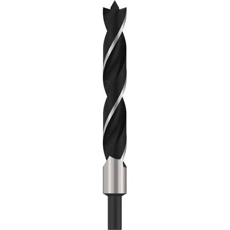 Bosch Professional Punta Elicoidale (per Legno, Ø 22 x 140 x 210 mm, Accessori Trapani)