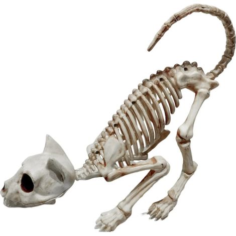 Travelwant Katzenskelett für Halloween-Dekorationen, Gartendekorationen mit Tierskeletten und Sensenmannknochen