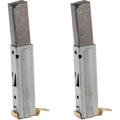 Lot de 2 balais de charbon universels pour moteur d'aspirateur Baiyun, accessoires pour aspirateurs industriels BF (1/4)