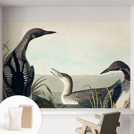 Papier peint intissé mural pour salon chambre à coucher tendance et originale - Colle incluse gratuite Oiseaux au bord de l'eau 152x104 cm (1/5)