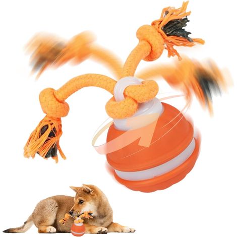 Balle Interactive pour Chien Automatique, Jouet Électrique à Rouler, Distraction et Jeu pour Chiot et Chien (1/5)