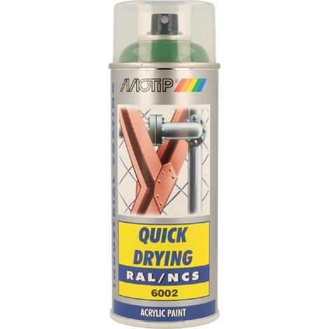 Peint acryliq séch rapide Vert feuil BRIL RAL6002 (1/4)
