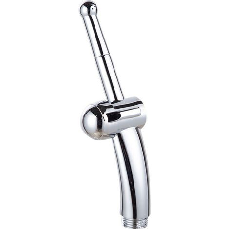 Nettoyant Pour Douche Robinet De Toilette Pommeau De Douche Et Ensemble Bidet Finition Argent Raccord G1/2 (1/4)