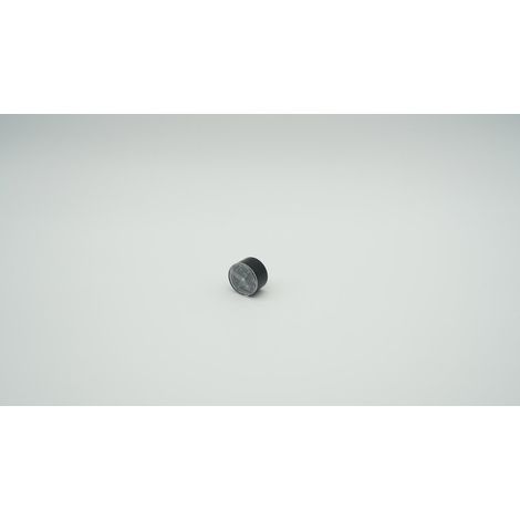 BWT Manomètre noir 0-10 bar arrière, 1-904907