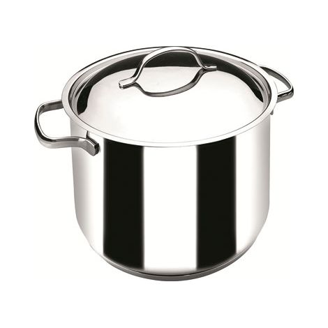 OLLA RECTA BASIC