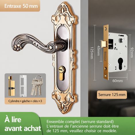 Serrure à poignée réglable titane doré 125/48 avec pêne en cuivre doré 125 48 réf 850 g – Livraison gratuite