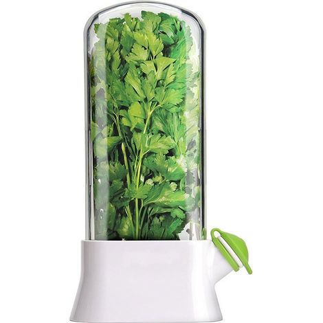 Boîte de conservation pour herbes aromatiques – Récipient de rangement en verre – Conservation des légumes – Blanc – (1/5)