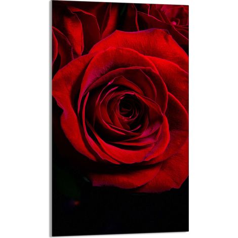 Schneidebrett aus Glas, 30x52 cm, Rose (1/5)