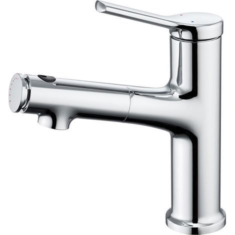 Bathroom faucet with retractable shower head, single-lever mixer tap (silver) (1/5)