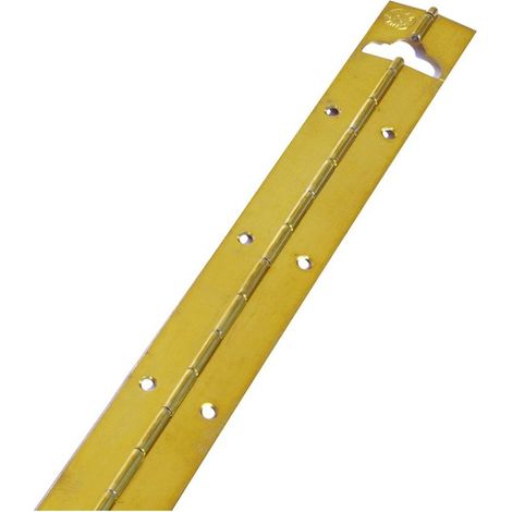 1 CERNIERA A STRISCIA IN FERRO OTTONATOMM 900X20
