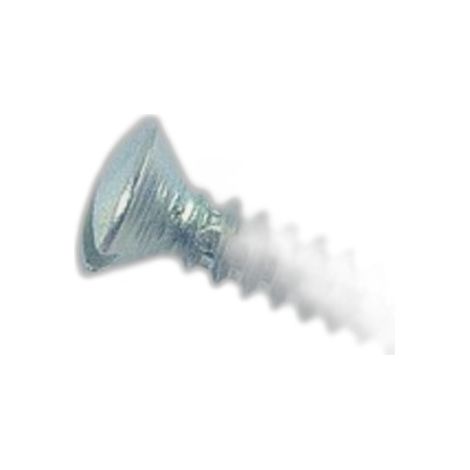 Vis à tôle tête fraisée bombée fendue Zingué - 4,8 x 15,9 mm - BIVI