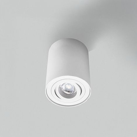 Spot Cylindrique Blanc Orientable Essence (1/3)