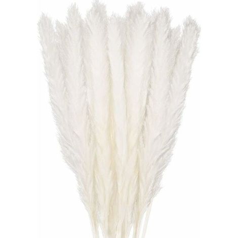 30 pcs Herbe de la Pampa, 58 cm Naturel Pampa Fleur Bouquet de Fleurs Sechees pour Vases, Blanc Boho Decoration Chambre Maison Salon, Mariage Photographier Table Décoration (1/5)