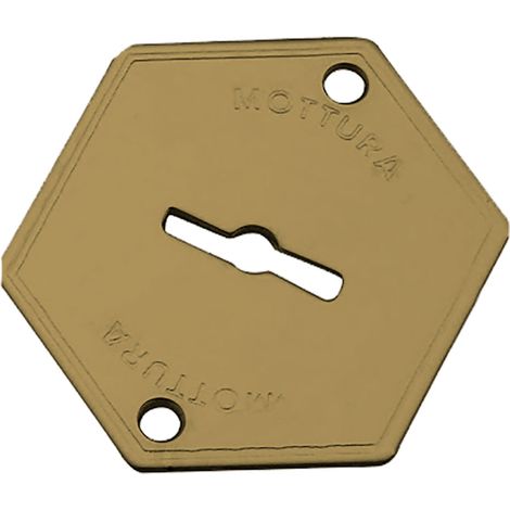 MOSTRINA ESTERNA ART.95223 finitura ottonata - MOTTURA