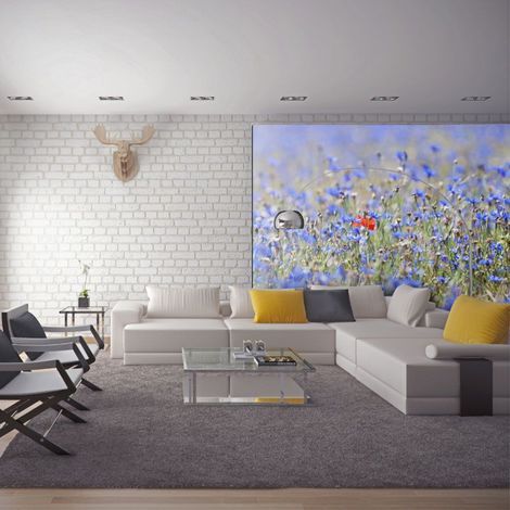 Papier Peint "Prairie Aux Couleurs du Ciel Bleuets" 193 x 250 cm (1/2)