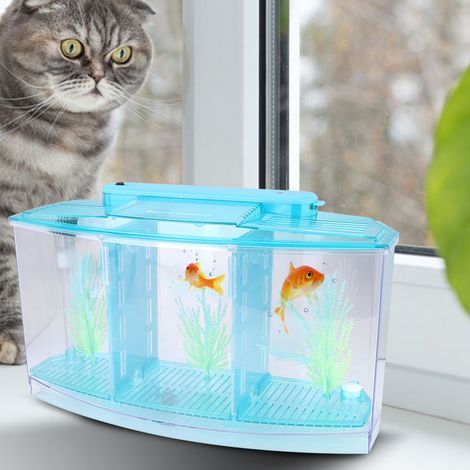 Boîte d'isolement à trois compartiments en acrylique avec éclairage LED pour aquarium, idéale pour la reproduction de petits poissons (bleu) (1/5)