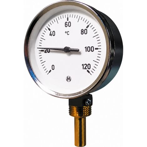 Tauchthermometer Radial (1/2)