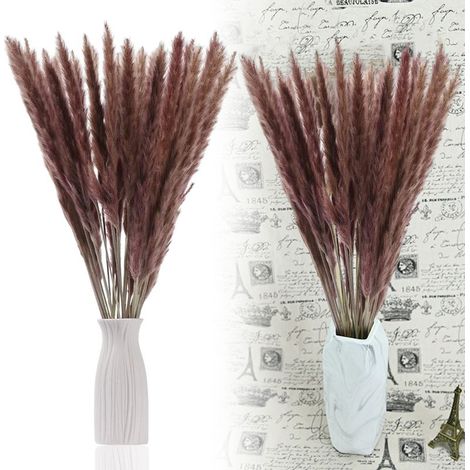 Pampas Grass - Natural Dried Reed Stems - 30 Pieces - 44 cm - for DIY Home Decor Wedding Photography (1/5)
