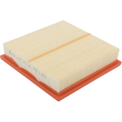 Filtro de aire ED0021752730S LOMBARDINI ED0021752730S
