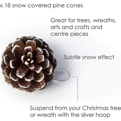 Décorations Sapin Pommes De Pin Effet Neige (1/2)