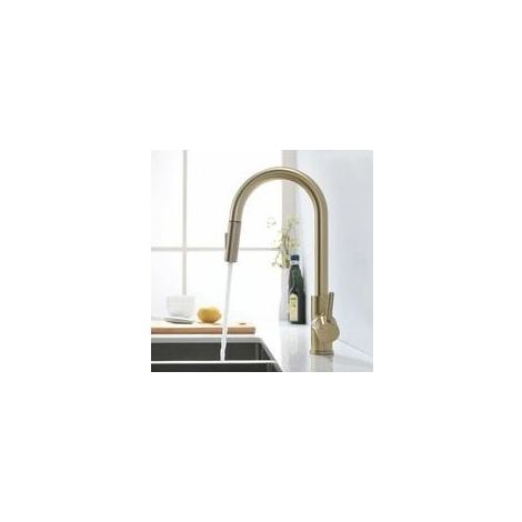 Robinet de cuisine doré brossé avec douchette extractible, robinet de cuisine pivotant à 360 °, mitigeur de cuisine, mitigeur monocommande pour évier de cuisine - RWMitigeur de cuisine (1/5)