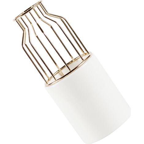 Blumentopf mit Eisenrahmen für Sukkulenten, dekorative Pflanzenvase aus Eisen, Wohnaccessoires (1/5)
