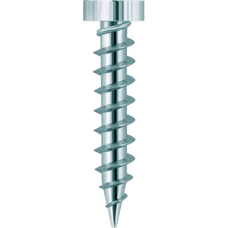 Eurotec Terrassengleiterschrauben A4 4,2 x 24mm 100 Stk (1/3)