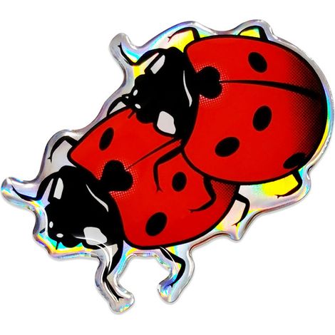 3D Sticker Coccinelle (1/5)