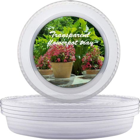 Soucoupe Pot Fleur 25CM Transparentes en Plastique Pots de Fleurs Lot de 10 Soucoupes - pour Plantes d'intérieur et d'extérieur (1/5)