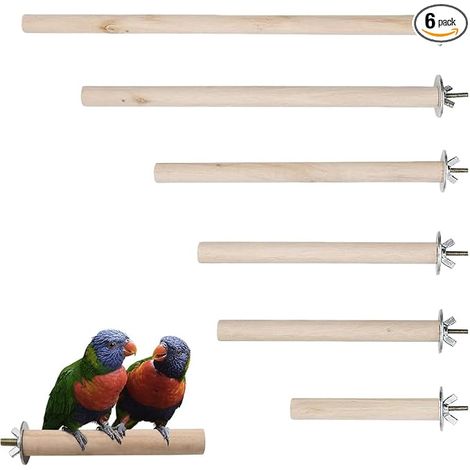 Perchoir Perroquet en Bois,Jouet Branches, Perchoir à Oiseaux en Bois pour Perroquet, pour Cages à Oiseaux pour Calopsittes, Conures (1/5)