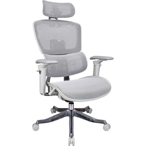 Sedia da ufficio ergonomica ProjectPLUS B10-Ergo - Grigio (1/5)