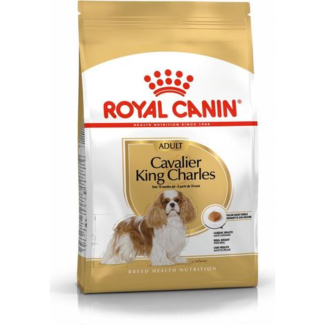 Nourriture pour chiens Royal Canin SHN Race Cavalier KC 1,5 kg