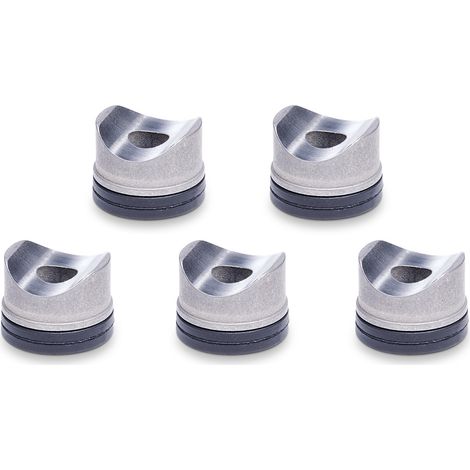 DOMINO Graco Kamyczek+ Dichtung für RAC V-Düse Nr. 243281